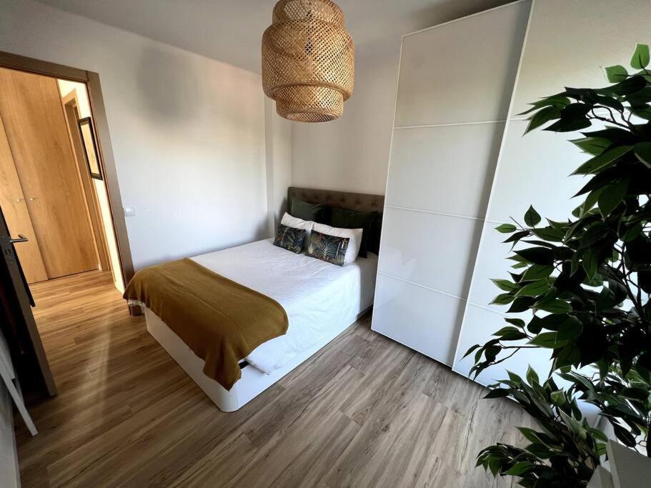 Penthouse Terraco De * Coimbra